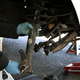 Image for article titled And You Will Know Us by the Trail of Parts: Replace Struts - Part 1